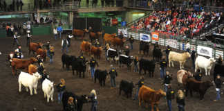 Farmfair International (FFI)