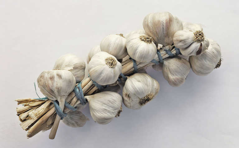 Some tips for growing garlic
