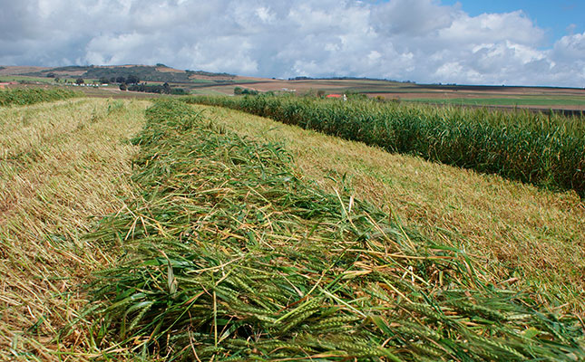 SA’s top ranking in African food trade not assured