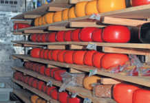 Karoo cheesery’s big plans for the community