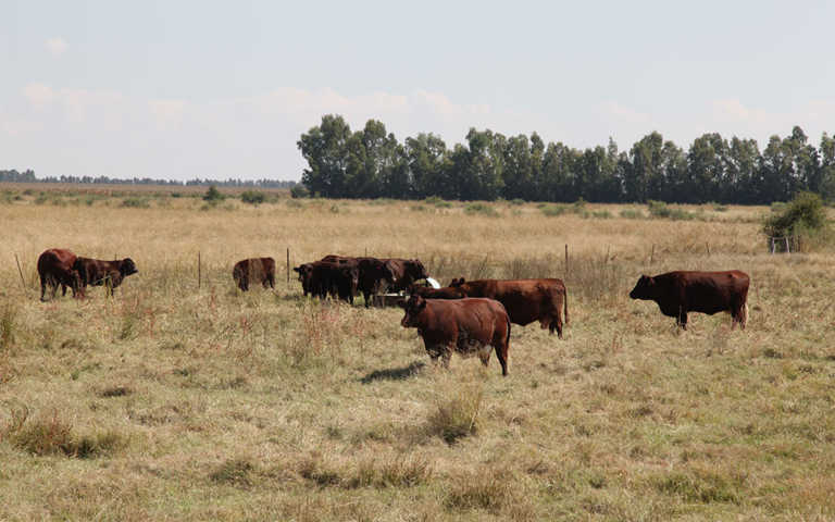 Growing antibiotic resistance an urgent problem Growing antibiotic resistance an urgent problem