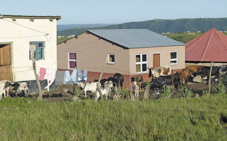 The three things black farmers need The three things black farmers need