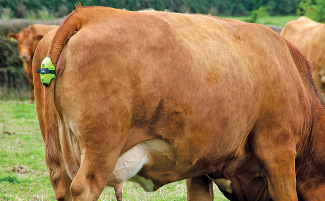 4 useful phone apps and technology for herd management