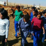 Linda Zwane, empowering women farmers in Mpumalanga
