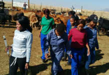 Linda Zwane, empowering women farmers in Mpumalanga