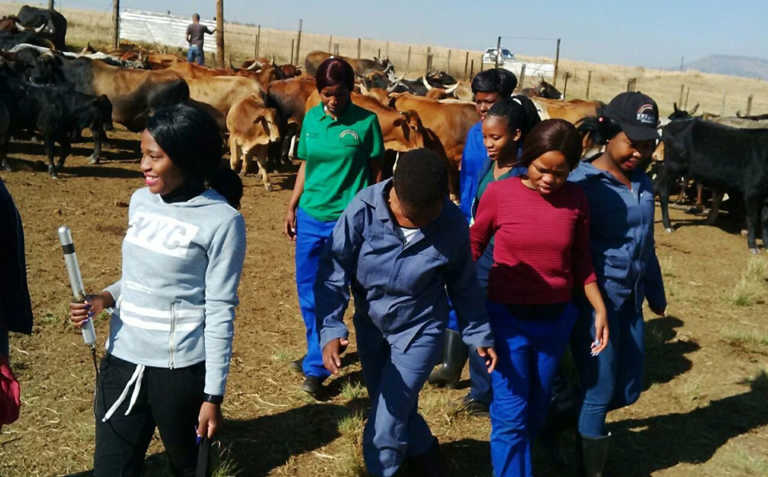 Linda Zwane, empowering women farmers in Mpumalanga