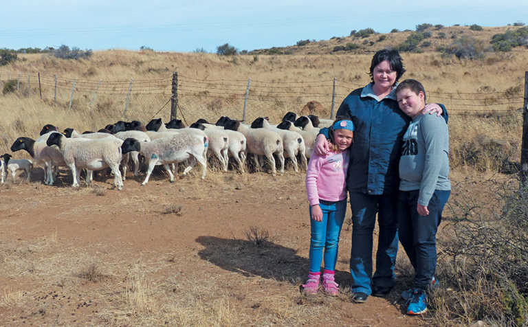 Veld rearing & good dam selection: key to top Dorpers Veld rearing & good dam selection: key to top Dorpers