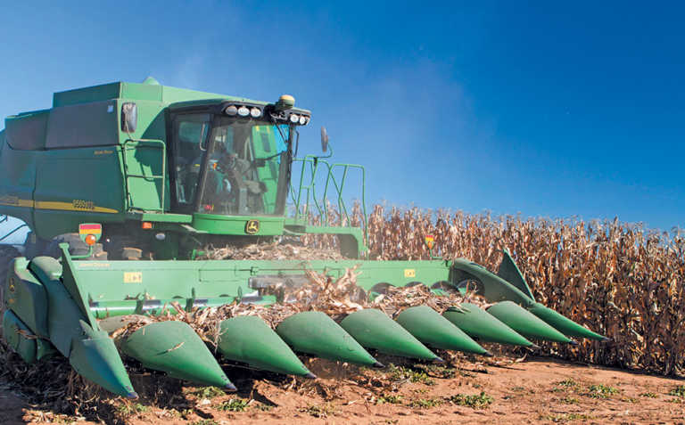 Free State Young farmer intends farming into the future Free State Young farmer intends farming into the future