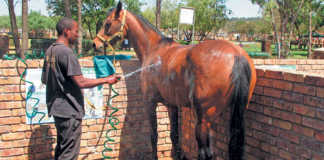 Keeping your horse clean