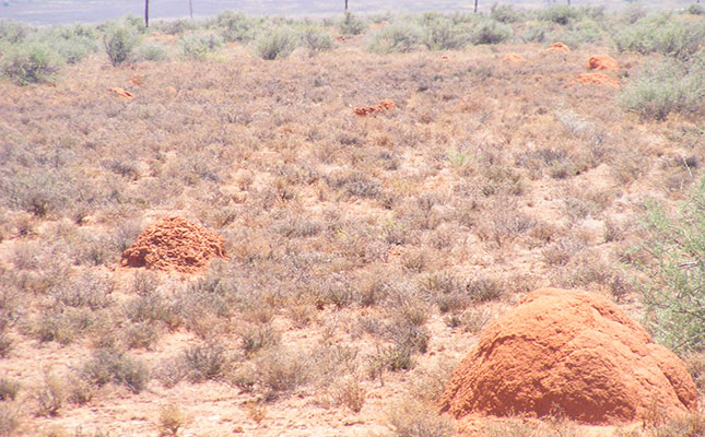 Drought in the Northern Cape spreads