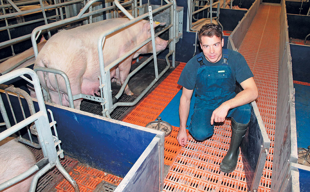 Investing in animal welfare pays off for German piggery