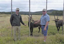 Cashing in on game farming in the Eastern Cape