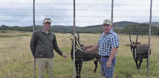 Cashing in on game farming in the Eastern Cape