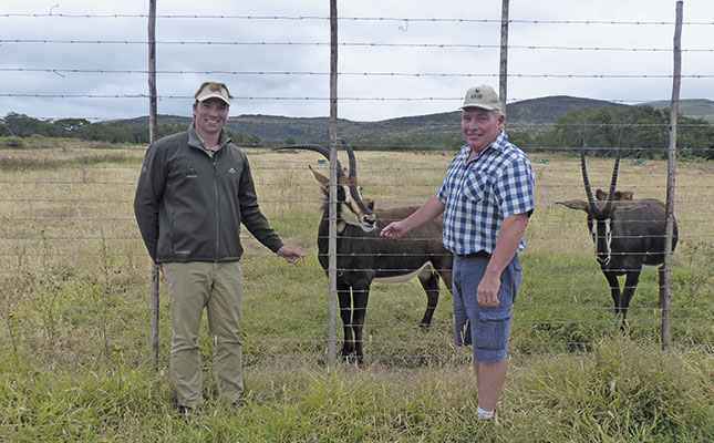 Cashing in on game farming in the Eastern Cape