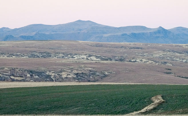 Agriculture’s labour time bomb