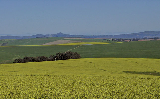Agri recovery aids SA’s second quarter GDP growth
