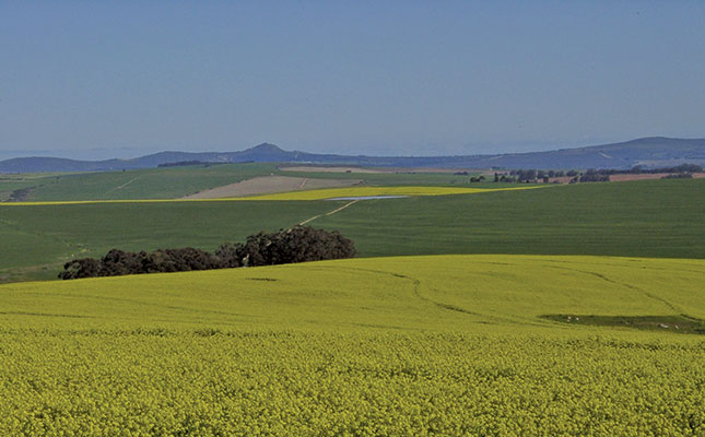 Agri recovery aids SA’s second quarter GDP growth Agri recovery aids SA’s second quarter GDP growth