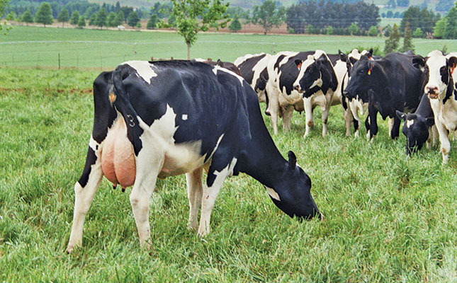 Project to grow India’s world-leading dairy industry Project to grow India’s world-leading dairy industry
