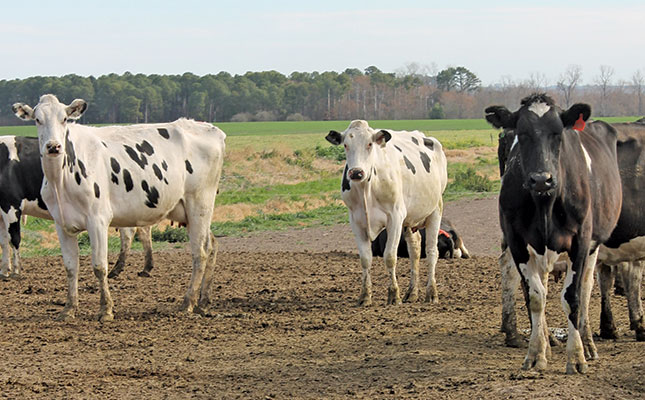 Call to arms for global dairy industry Call to arms for global dairy industry
