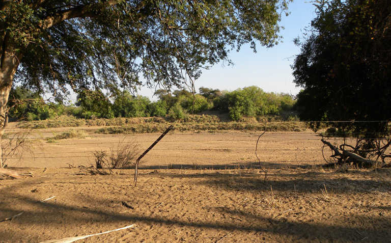 Botswana reports suspected foot-and-mouth outbreak Botswana reports suspected foot-and-mouth outbreak