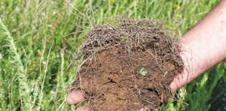 How many harvests are left in your soil?