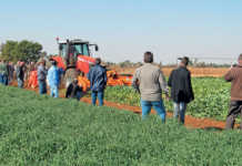 No-till and min-till operations at Vegetable Farmers Day