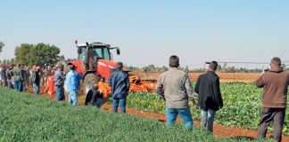 No-till and min-till operations at Vegetable Farmers Day
