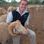 Merino breeder, Stuart Southey