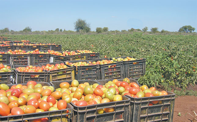 New fresh produce market set to boost Nigerian agri sector