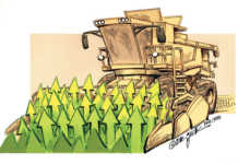 Global food demand and prices to decrease over next decade