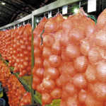 Fresh produce market agents face price-fixing charges