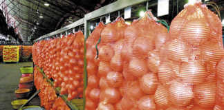 Fresh produce market agents face price-fixing charges