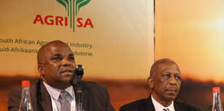 Phenias Gumede and Mathews Phosa