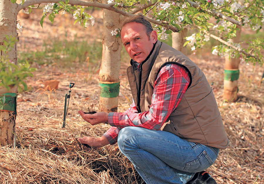 Ceres farmer achieves best-ever harvest, despite drought