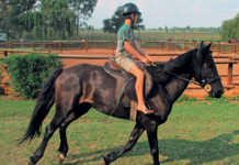 Teaching beginners to ride safely