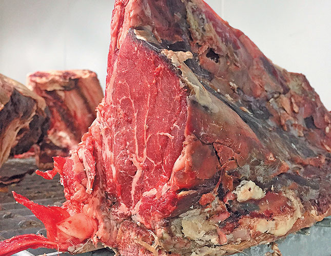 The economics of producing aged, premium beef