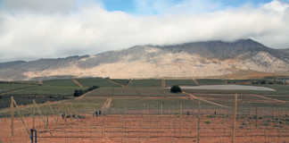 Ceres farmer achieves best-ever harvest, despite drought