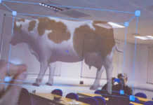 Holographic cow improves learning experience