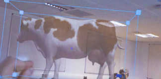 Holographic cow improves learning experience