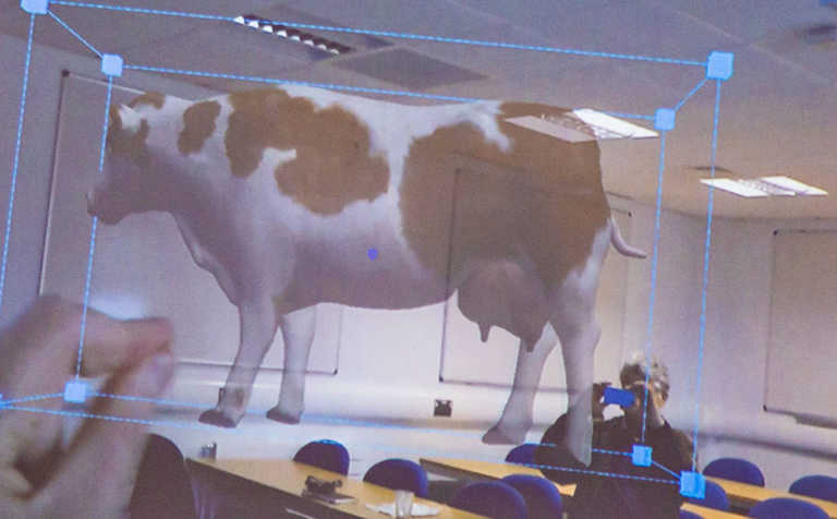 Holographic cow improves learning experience Holographic cow improves learning experience