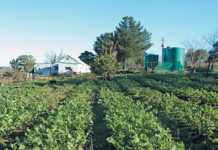 Work your networks, says self-taught veggie farmer
