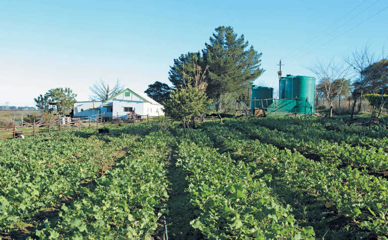 Work your networks, says self-taught veggie farmer