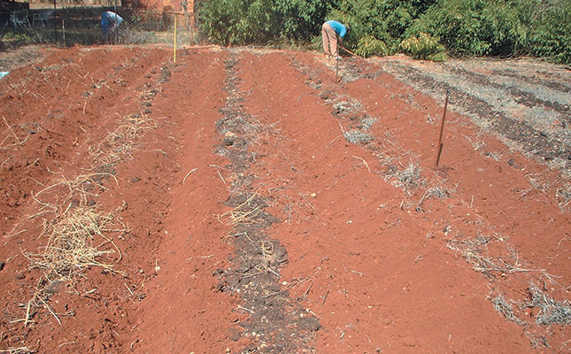 Preparing your vegetable patch Preparing your vegetable patch