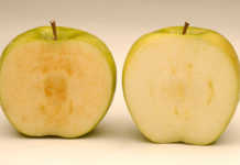 Non-browning Arctic apples now on North American shelves