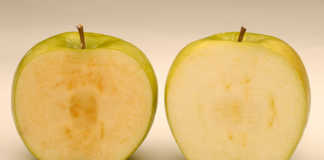 Non-browning Arctic apples now on North American shelves