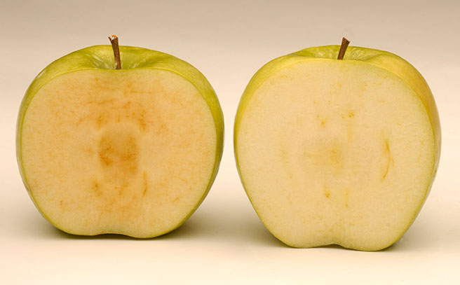 Non-browning GMO Arctic apples now on North American shelves