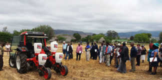 Developing farmers learn about conservation agriculture