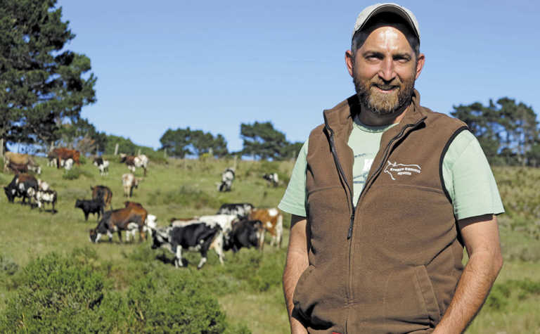 Beef production: commercial Nguni success on leased land