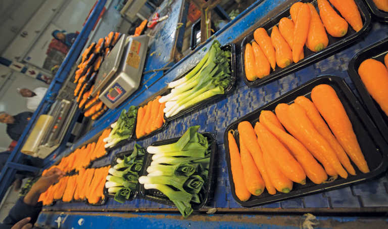 SA baby vegetables’ journey to international tables SA baby vegetables’ journey to international tables