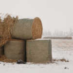 canada-hay bales winter